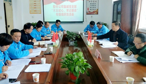 向宇飛列席指導股份公司氯堿黨支部“不忘初心、牢記使命”專題組織生活會(圖1)